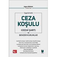 Adalet Yaynevi  Uygulamada Uygulamada Ceza Koulu (Cezai art) ve Benzer Kurumlar Doan Arman