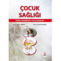 Ankara Nobel Tp Kitabevi  ocuk Sal Temel Hemirelik Yaklamlar Ebru TRNER Lale BYKGNEN