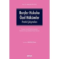 Sekin Yaynevi  Borlar Hukuku zel Hkmler Pratik almalar Melek Bilgin Yce