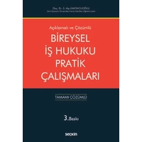 Sekin Yaynevi Aklamal ve zml Bireysel  Hukuku Pratik almalar S.Alp Limoncuolu