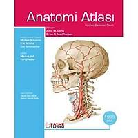 Palme Yayınevi  Gilroy Anatomi Atlası