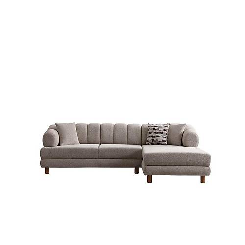 Lion K��e Tak�m�