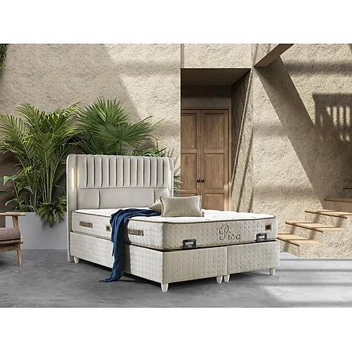 Pisa Baza Ba�l�k