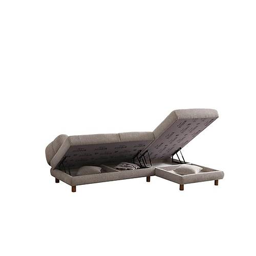 Lion K��e Tak�m�