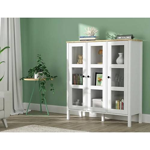 FRN-20073 Vitrin