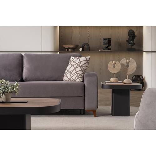 �biza Koltuk Tak�m�