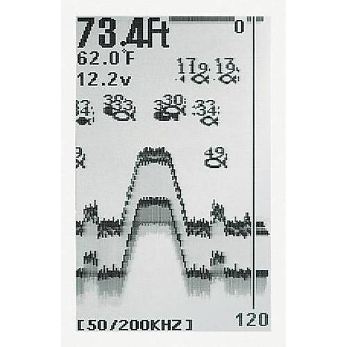 Condor 245 DF Bal�k Bulucu