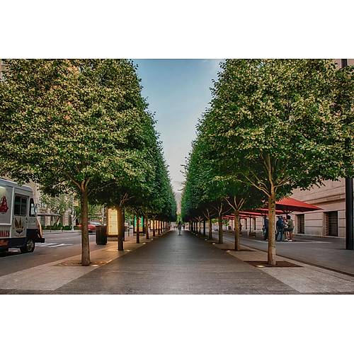 Solar Led Zemin Armat�r� 10 Adet 12x12 Cm 