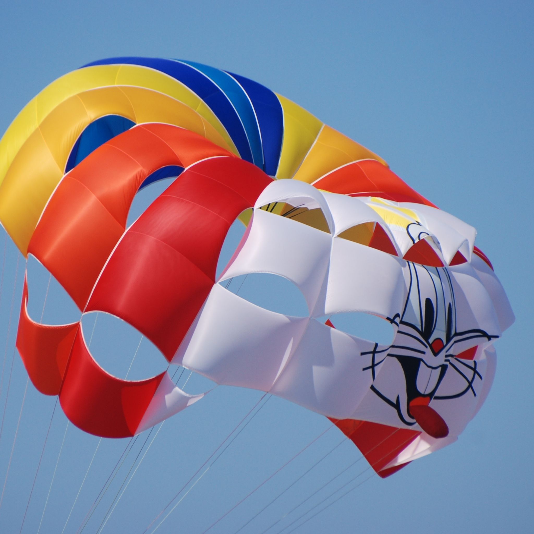 PEGASUS PARAŞÜT 44FT MAXI JUMBO