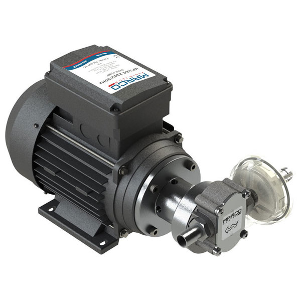 UPX/AC İÇME SUYU TRANSFER POMPASI 220V 10lt/dk