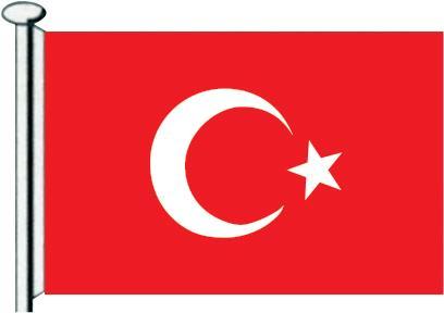 TÜRK BAYRAĞI  50X75