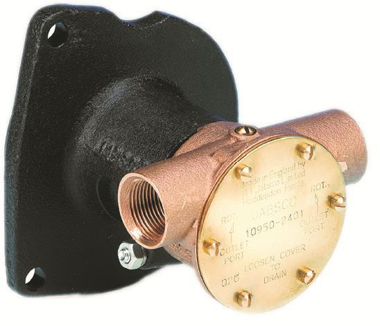 ITT JABSCO FLANŞLI POMPA 2"