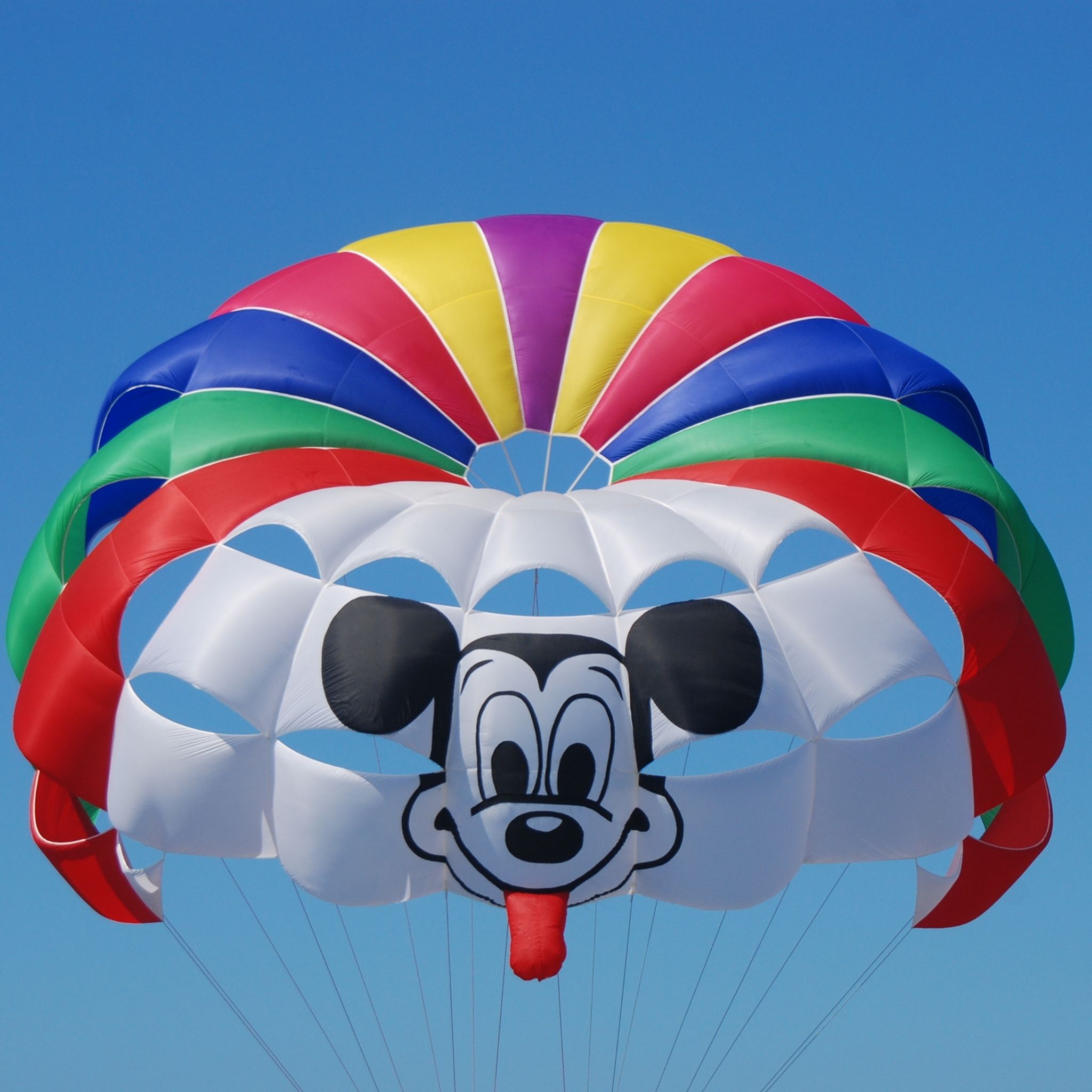 PEGASUS PARAŞÜT 39 FT SKYLER