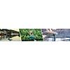 G�rsel 4