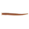 G�rsel 2