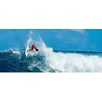 BIC SURF SUPER-FROG 5"10 BEAN SF