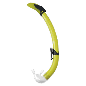 Aqualung Aquilon Sar� �norkel