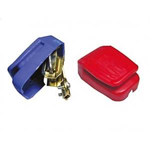 Ak� Kutup Ba��