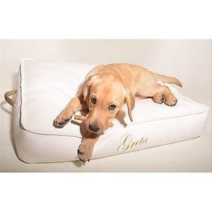 TRONA K�PEK CLOUD YASTI�I K���K 60X40 CM