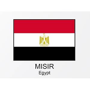 MISIR BAYRAĞI 40X60