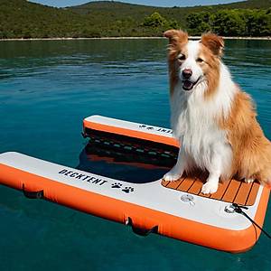 Decktent Dog Ramp L (150 x 100 x 15 cm)