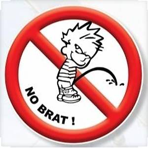 ATLANTECH ATH3100 - �IKARTMA - NO BRAT!