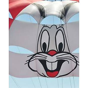 38FT SKYRIDER PARA��T