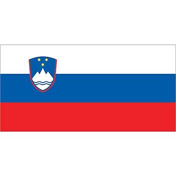 Slovenian Bayrak 20 X 30Cm