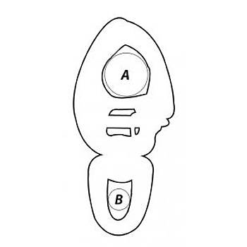 Wichard H�zl� a��lan f�rd�nd�l� mandar kilidi�