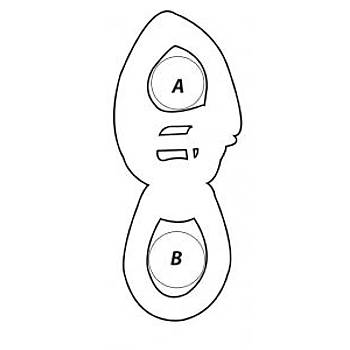 Wichard b�y�k kulplu h�zl� a��lan snap shackle