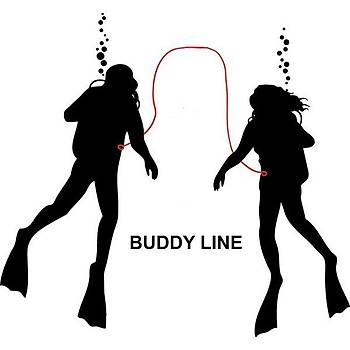 KRAKEN Buddy Line