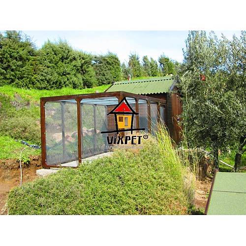 Pony At Ah�r�  200 X 200