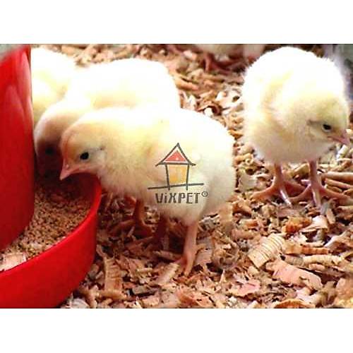 5 KG KOVALI C�VC�V YEML���