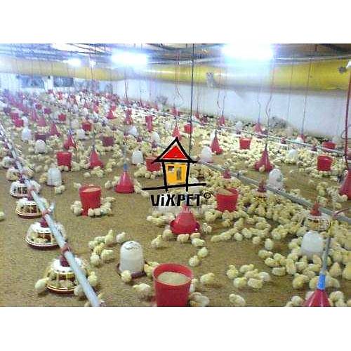 5 KG KOVALI C�VC�V YEML���