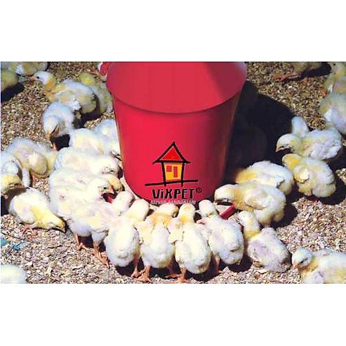 5 KG KOVALI C�VC�V YEML���