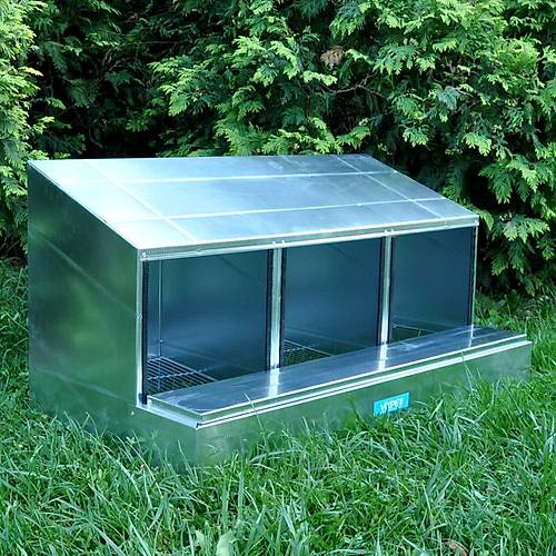 TAVUK FOLLUKLARI /  L