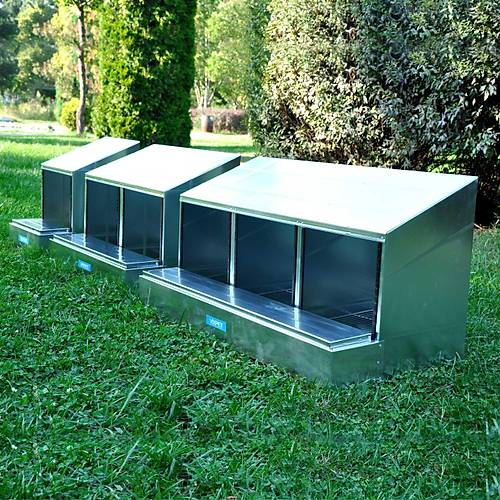 TAVUK FOLLUKLARI /  L