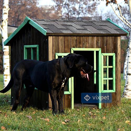 Oxford Pencereli Kpek Kulbesi 100x100x110