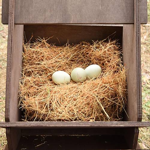 TAVUK FOLLUK OTU 1 KG