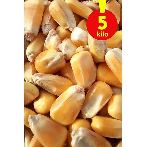 Wow Kurutulmu� Iri Dane Yemlik M�s�r 5 kg - T�m Kemirgenler ve Kanatl� Hayvanlar I�in - M�s�r Yemi