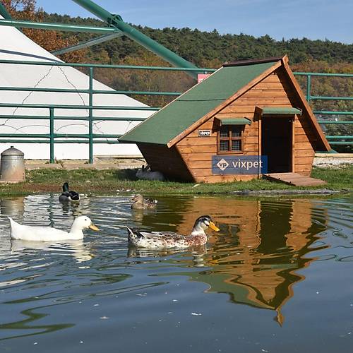 Lake �rdek Evi 4-5 �rdek Bar�nabilir