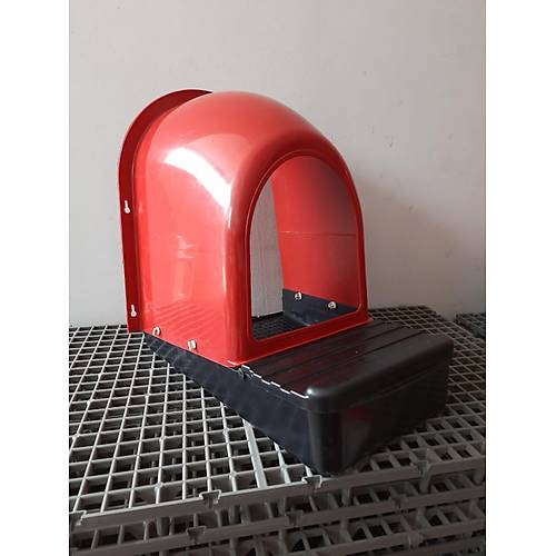 Gizmo Plastik Tavuk Folluk