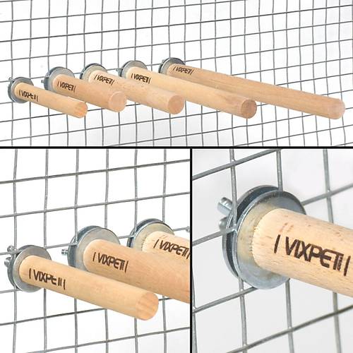 PAPA�AN T�NEKLER�  - KU� T�NEKLER�