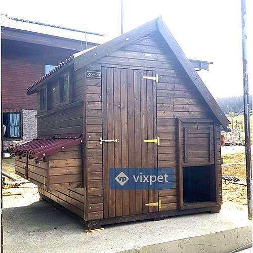 Montana S Tavuk K�mesi 50 Tavuk Bar�nabilir