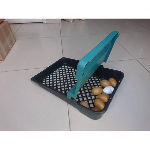 Plastik Tavuk Folluklar 