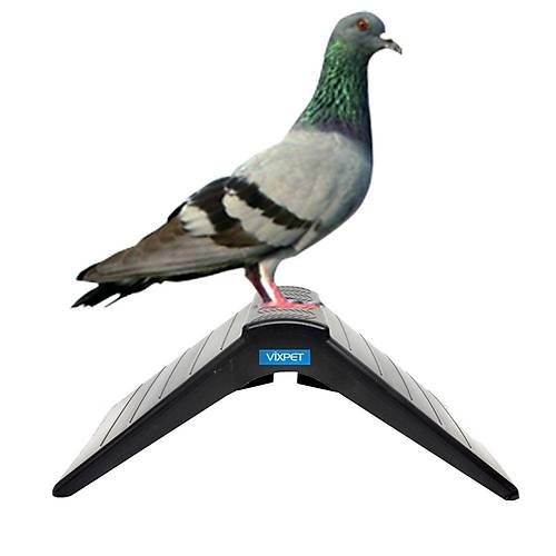 PLAST�K G�VERC�N T�NE��