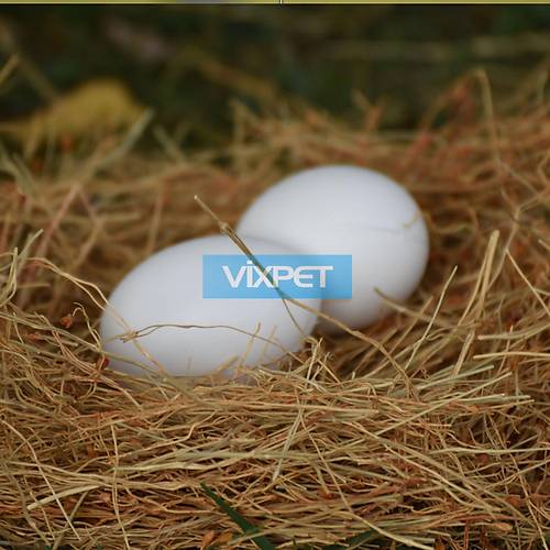 SAHTE TAVUK YUMURTASI 6'LI PAKET