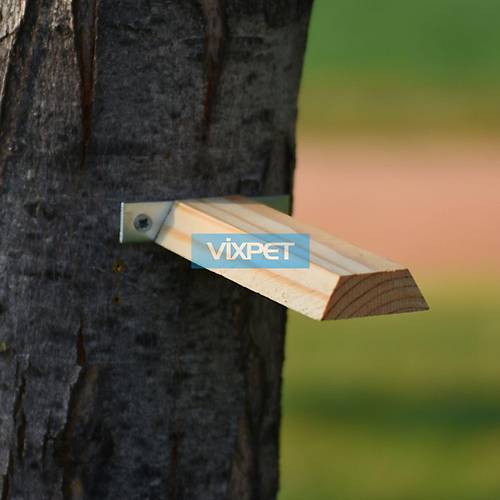 AH�AP �ITA T�NEK