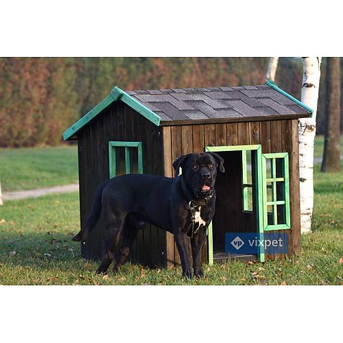 Oxford Pencereli Kpek Kulbesi 100x100x110