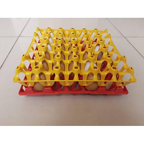Plastik Yumurta Viyol 30 Yumurta Kapasiteli 33 x 33 cm Sert ve Esnektir